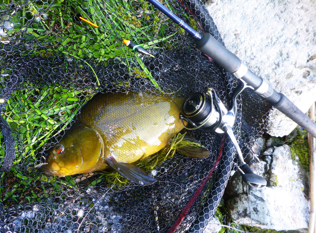 Lystfiskeri på Bornholm - information