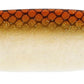 F360
